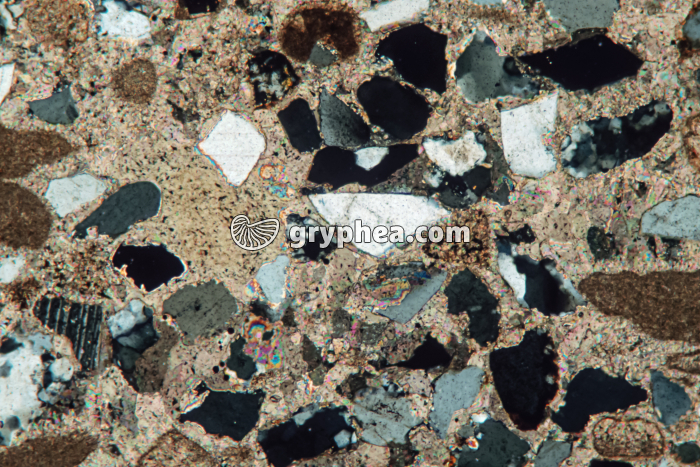 Grès ciment poecilithique LPA x25 - gryphea.com